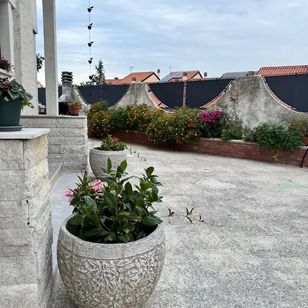 Dalila 트리에스테